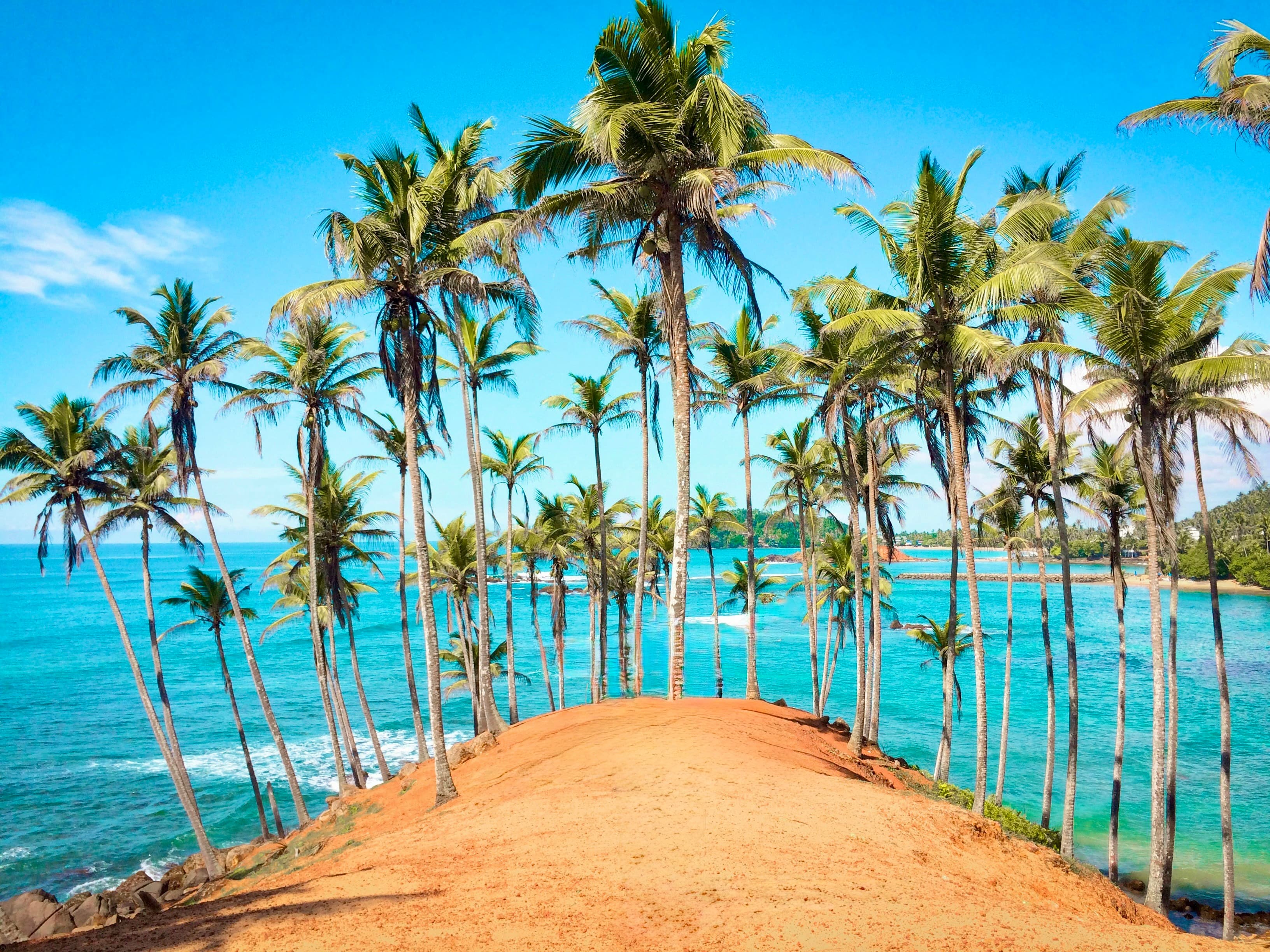 Transfert privé de Aéroport de Colombo (CMB) à Mirissa